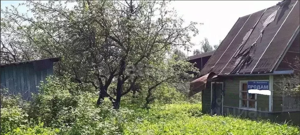 Дом в Тверская область, Конаково Весна СНТ,  (32 м) - Фото 1