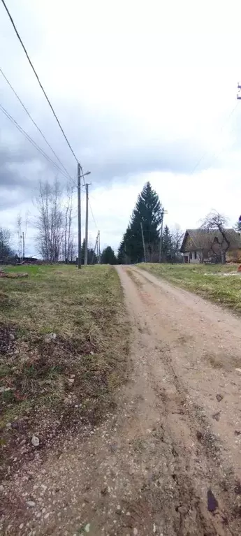 Участок в Новгородская область, Новгородский район, Савинское с/пос, ... - Фото 1