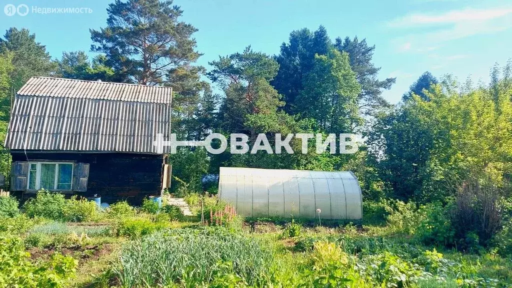 Дом в Новолуговской сельсовет, садоводческое некоммерческое ... - Фото 1