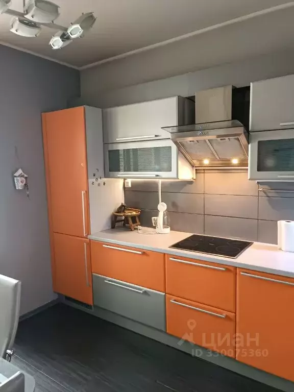1-к кв. Санкт-Петербург Искровский просп., 22 (47.0 м) - Фото 2