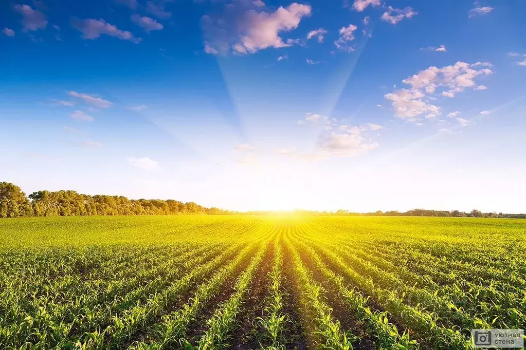 Участок в Калужская область, Ферзиковский муниципальный округ, ... - Фото 1