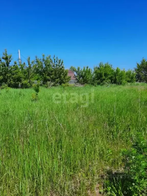 Участок в Ульяновская область, Старая Майна рп ул. Советская (16.0 ... - Фото 0