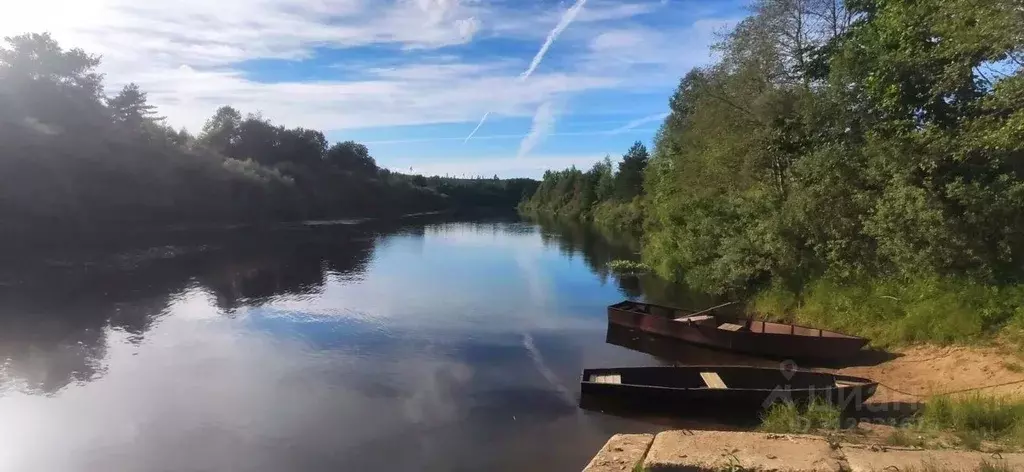 Участок в Ленинградская область, Лужский район, Толмачевское городское ... - Фото 0