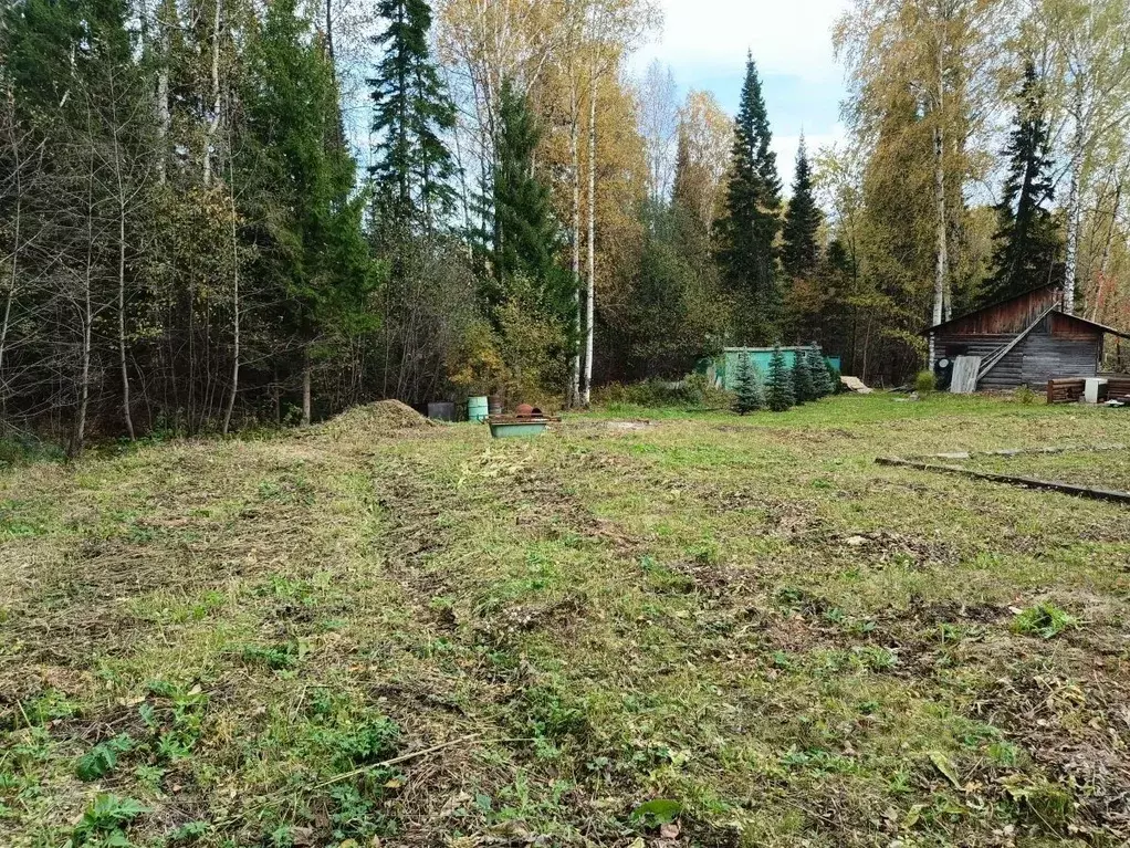 Участок в Свердловская область, Новоуральский городской округ, с. ... - Фото 2