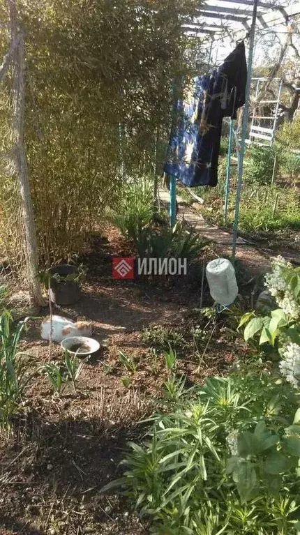 Дом в Севастополь Сосновая роща садоводческое товарищество,  (35 м) - Фото 1