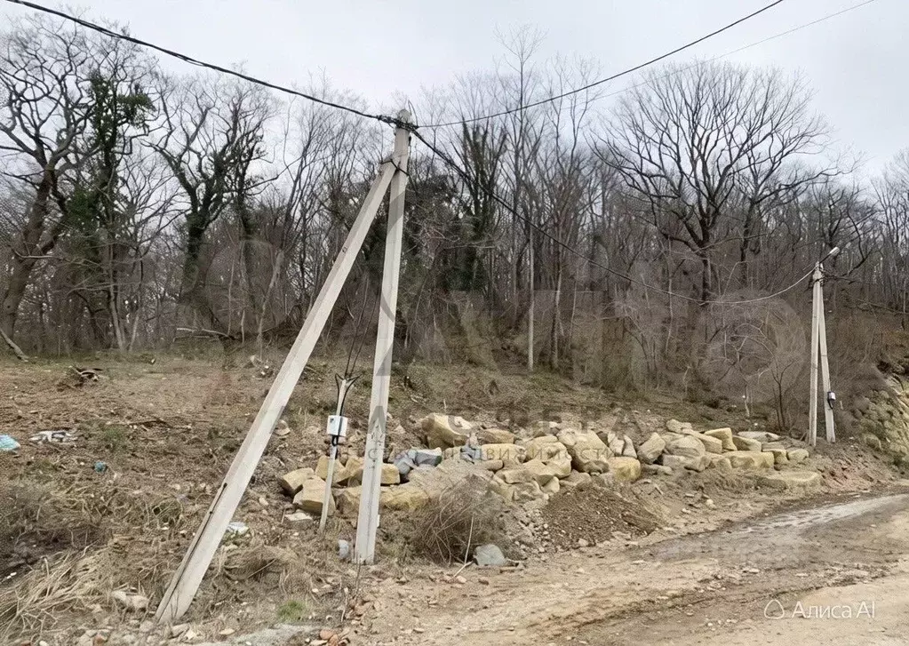 Участок в Краснодарский край, Туапсинский муниципальный округ, ... - Фото 2