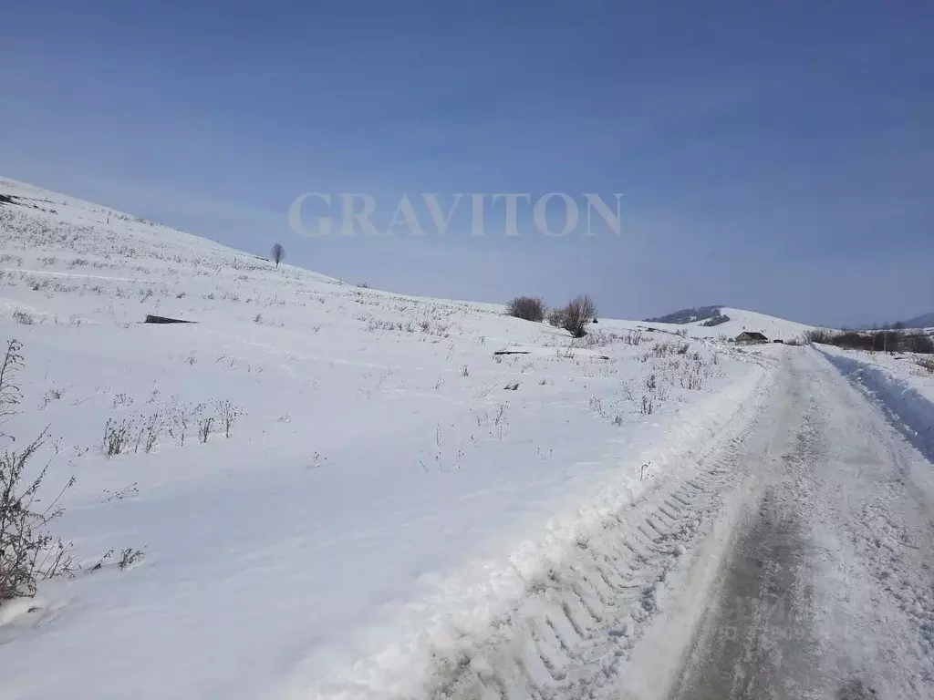 Участок в Алтай, Майминский район, пос. Алферово  (10.0 сот.) - Фото 1