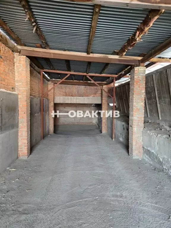 Помещение свободного назначения в Новосибирская область, Новосибирск ... - Фото 1