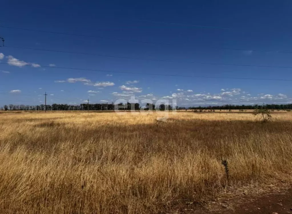Участок в Крым, Симферопольский район, Николаевское с/пос, с. ... - Фото 1