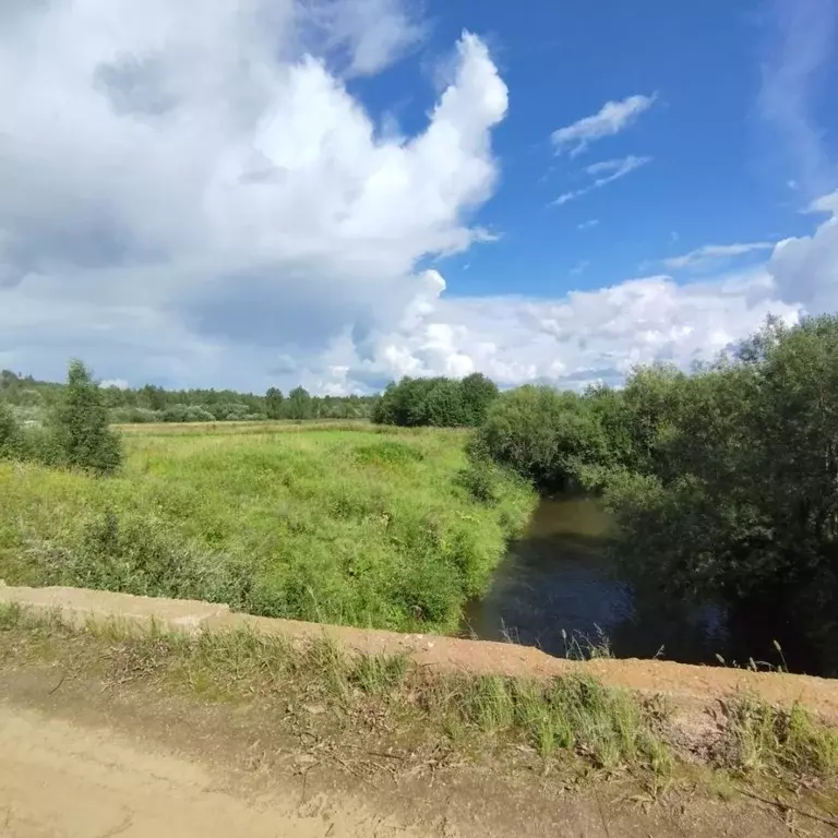 Дом в Пермский край, Нытвенский муниципальный округ, с. Воробьи ул. ... - Фото 2