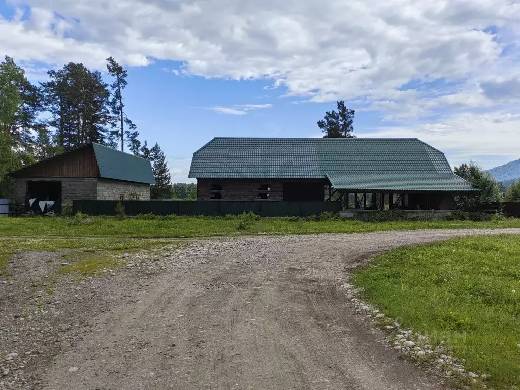 Дом в Алтай, Турочакский район, с. Озеро-Куреево  (56 м) - Фото 0