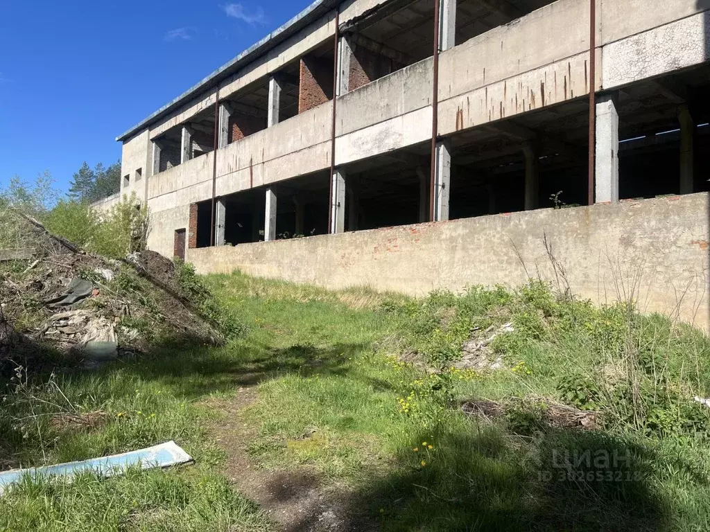 Производственное помещение в Калужская область, Таруса ул. Победы, 17 ... - Фото 1