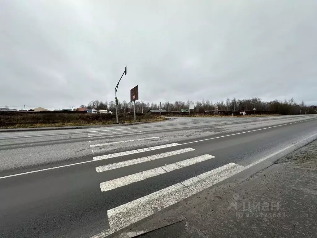 Участок в Липецкая область, Лебедянский муниципальный округ, с. Новое ... - Фото 2