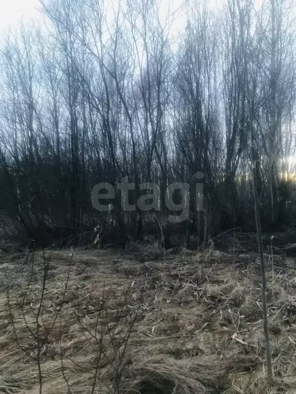 Участок в Вологодская область, Вологда Меркурий садоводческое ... - Фото 2