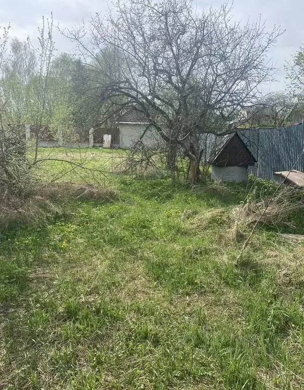 Участок в Московская область, Клин городской округ, д. Максимково  ... - Фото 1