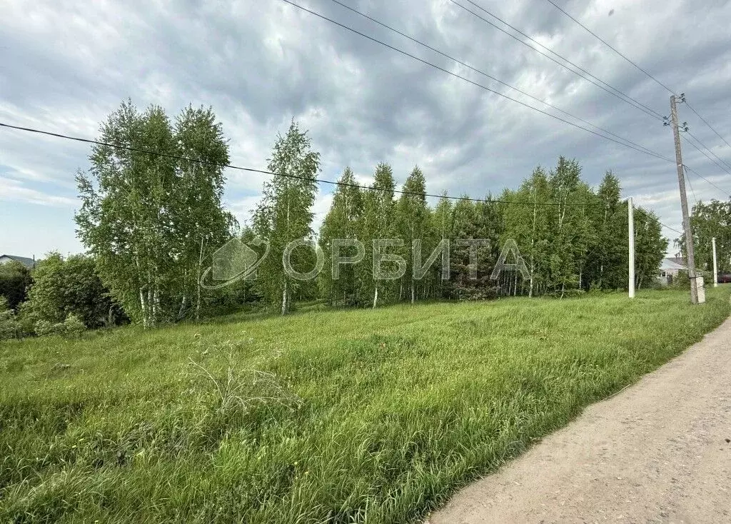 Участок в Тюменская область, Тюменский район, д. Головина ул. Весенняя ... - Фото 1