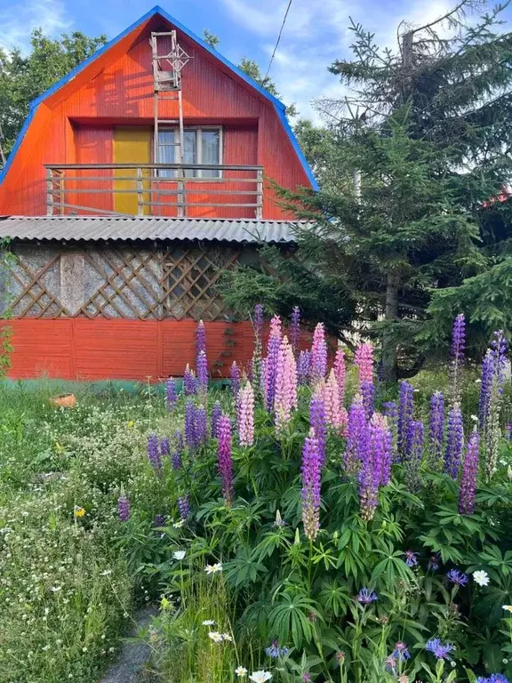 Дом в Камчатский край, Елизовский муниципальный округ, Румб СНТ ул. ... - Фото 0