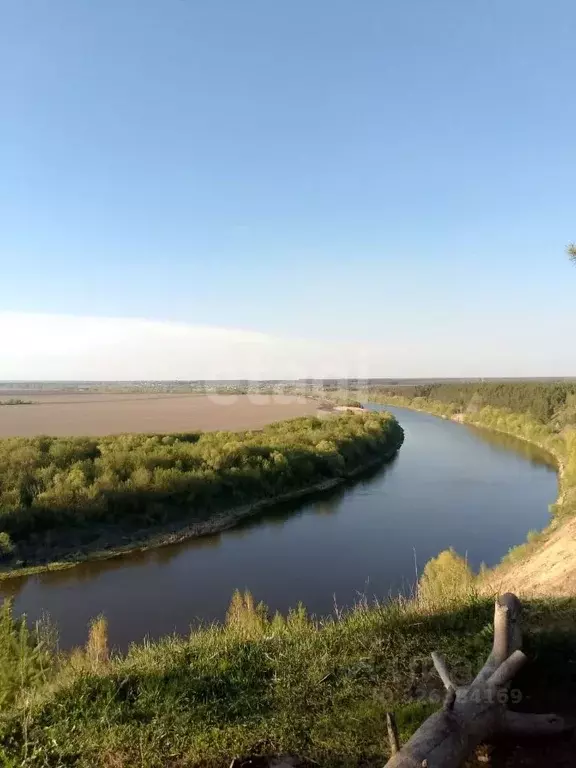Участок в Воронежская область, Рамонский район, Комсомольское с/пос, ... - Фото 1