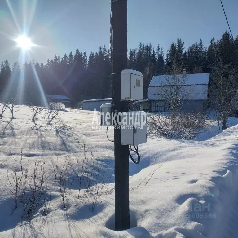 Участок в Ленинградская область, Выборгский район, Селезневское с/пос, ... - Фото 0