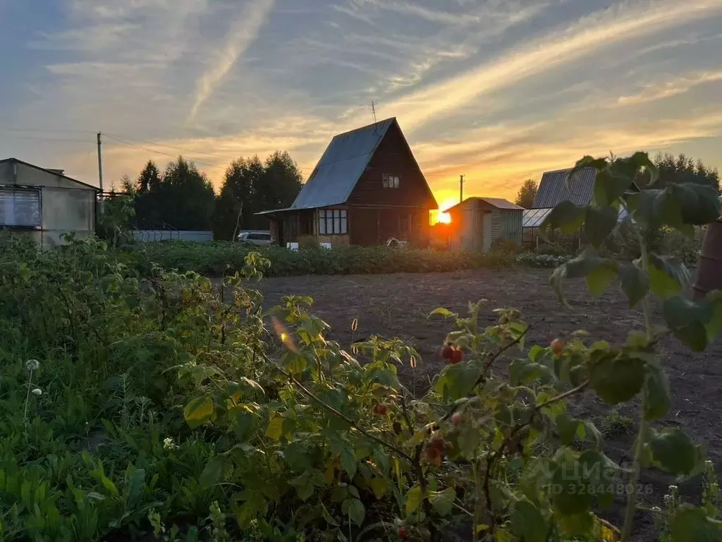 Дом в Новосибирская область, Тогучинский район, Сибирь СНТ 93 (64 м) - Фото 1