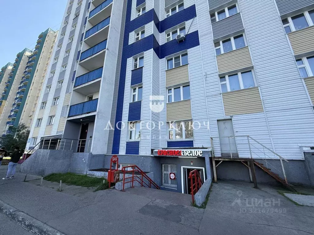 Помещение свободного назначения в Новосибирская область, Новосибирск ... - Фото 1