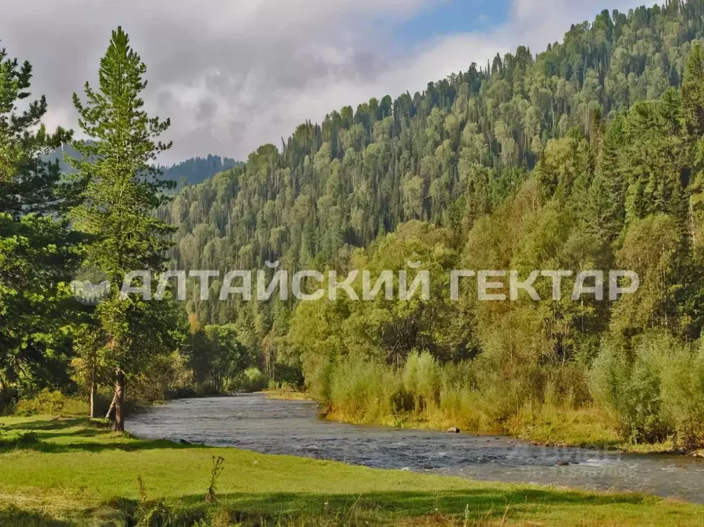 Участок в Алтай, Чемальский район, с. Уожан  (100.0 сот.) - Фото 0