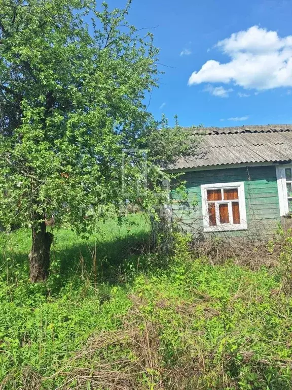 Участок в Тамбовская область, Тамбов Дружба СНТ,  (4.0 сот.) - Фото 1