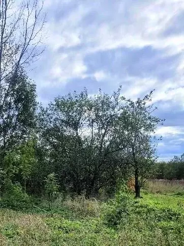 Участок в Псковская область, Гдов городское поселение, д. Надозерье  ... - Фото 1