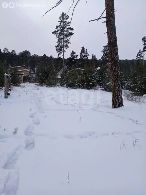 Участок в Улан-Удэ, ДНТ Перспектива (8 м) - Фото 1