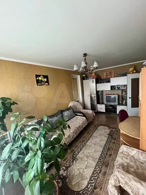 3-к кв. Белгородская область, Губкин ул. Агошкова, 7 (72.0 м) - Фото 1