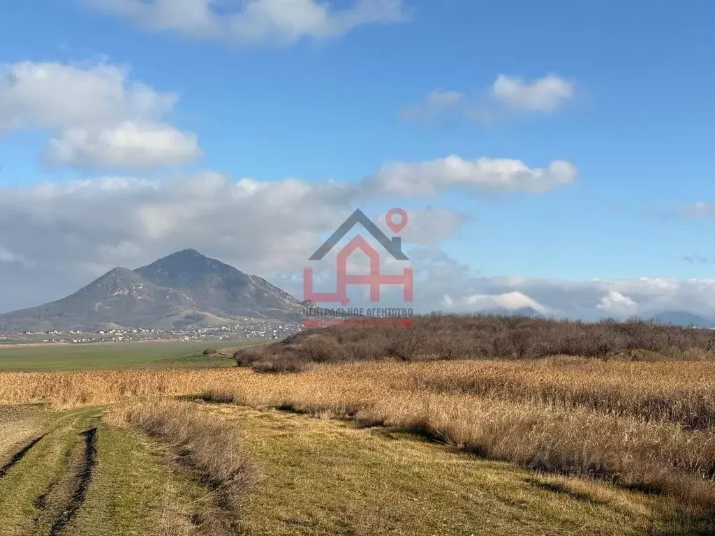 Участок в Ставропольский край, Предгорный муниципальный округ, ... - Фото 1