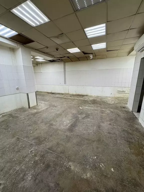 Помещение свободного назначения в Новосибирская область, Новосибирский ... - Фото 2