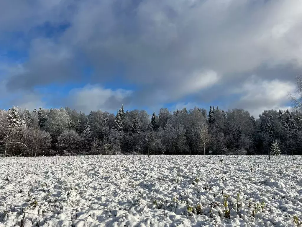 Участок в Московская область, Солнечногорск городской округ, д. ... - Фото 1