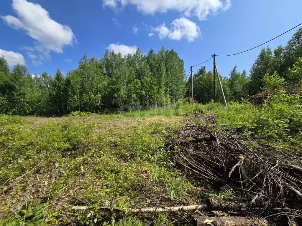Участок в Ханты-Мансийский АО, Ханты-Мансийск Югра СОТ, 1 (5.2 сот.) - Фото 1