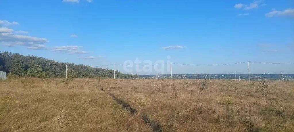 Участок в Воронежская область, Рамонский район, Русскогвоздевское ... - Фото 1