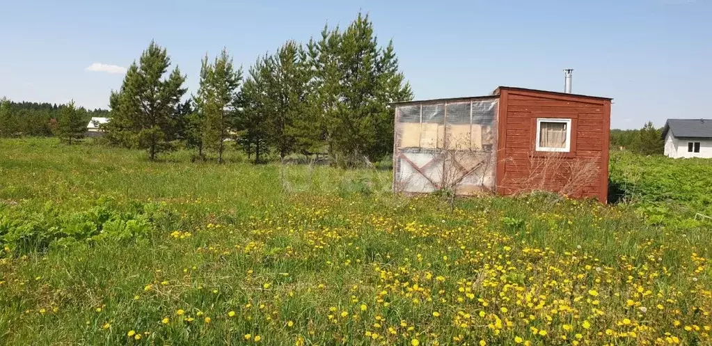 Участок в Пермский край, Пермский муниципальный округ, пос. Красный ... - Фото 1