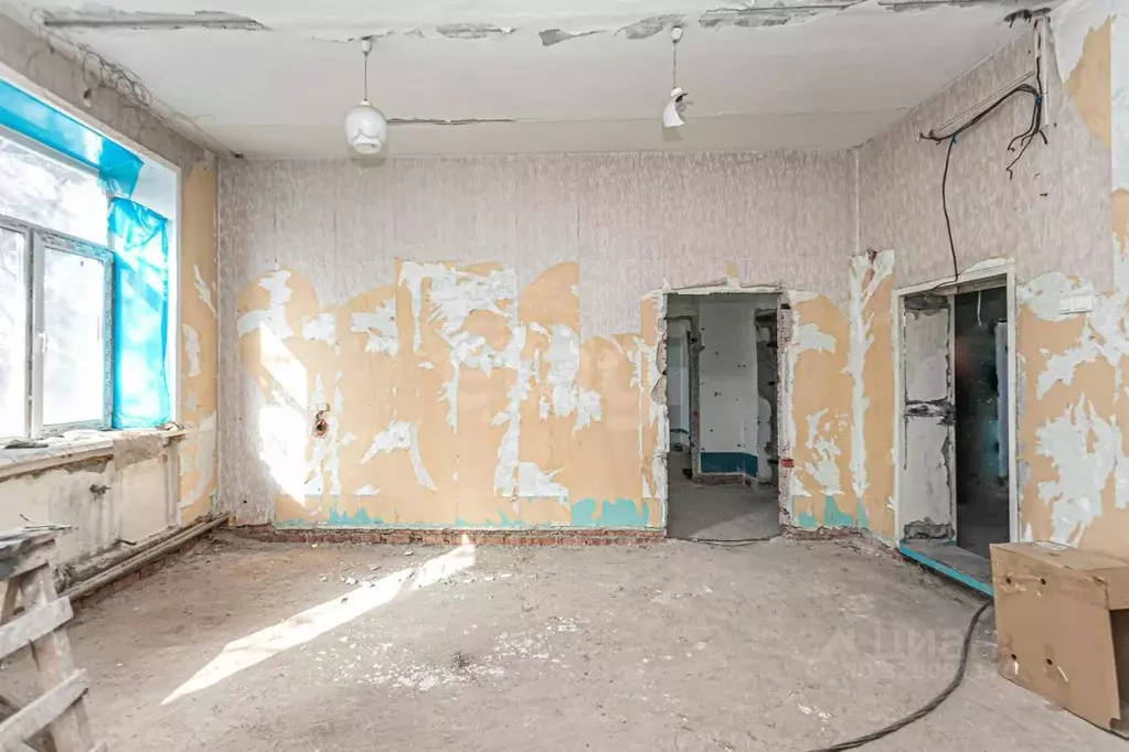 Офис в Новосибирская область, Искитим Молдавская ул., 48 (185 м) - Фото 1