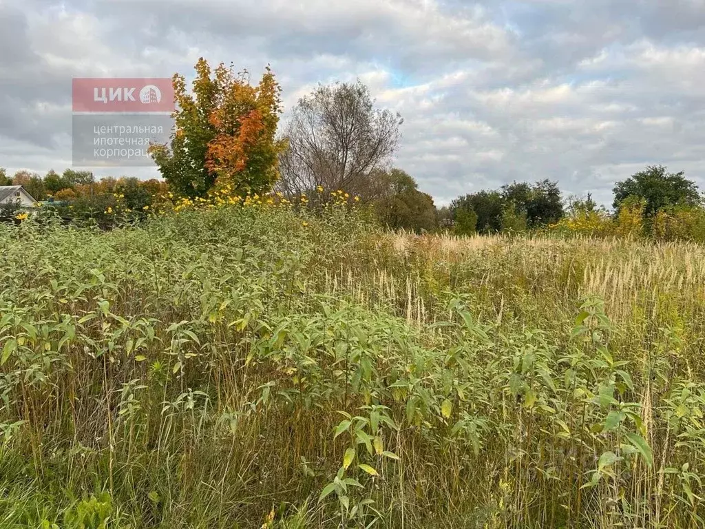 Участок в Рязанская область, Рязанский муниципальный округ, ... - Фото 2