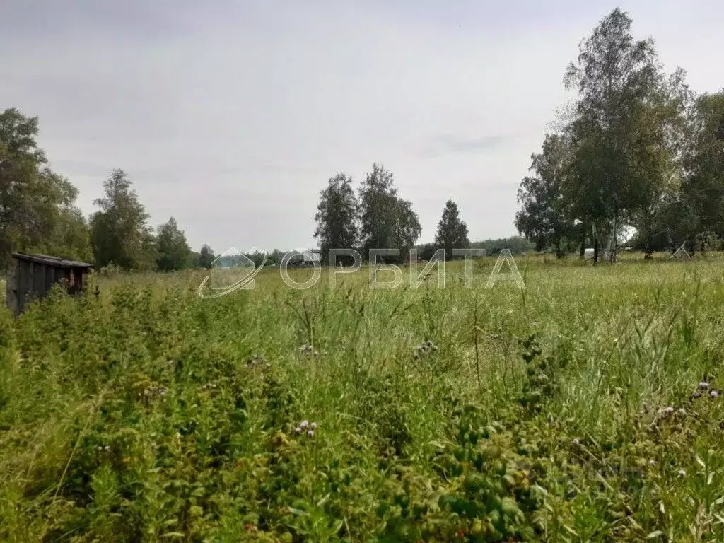 Участок в Тюменская область, Нижнетавдинский район, Лебедушка СПК  ... - Фото 1