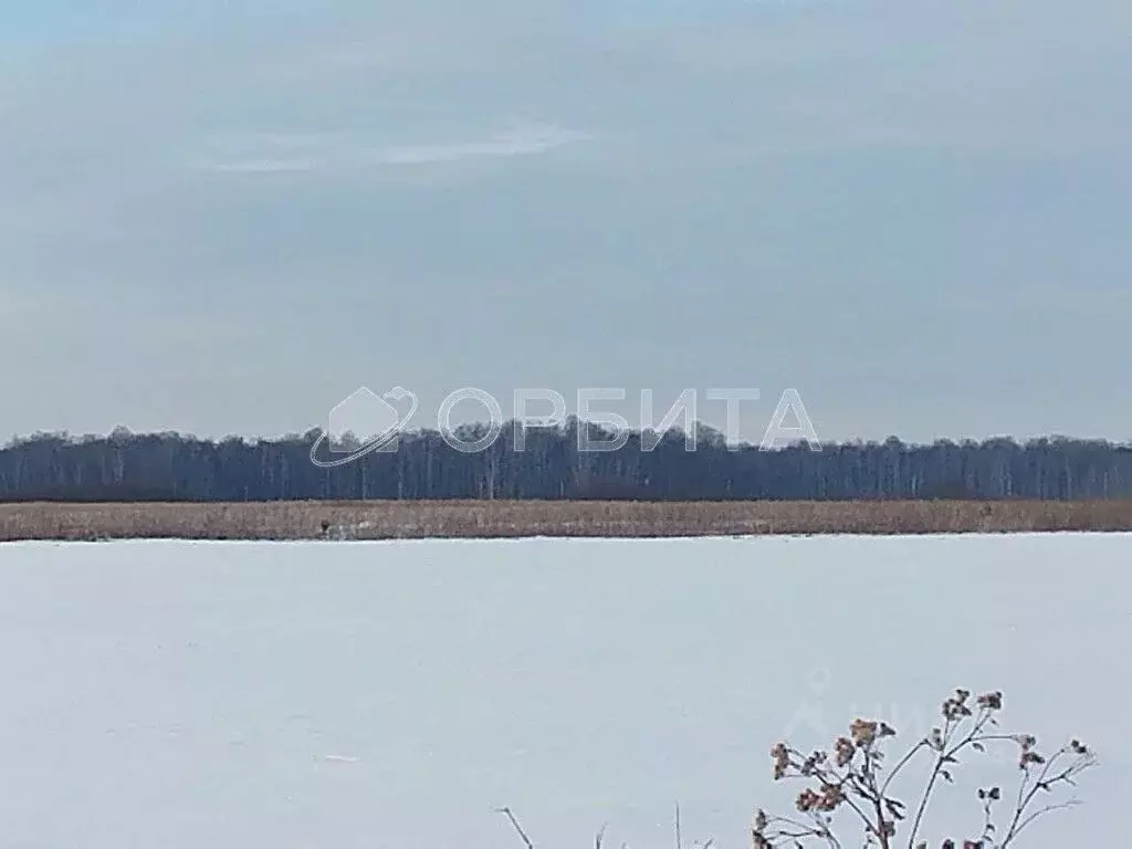 Участок в Тюменская область, Тюменский район, с. Горьковка Сибирская ... - Фото 1