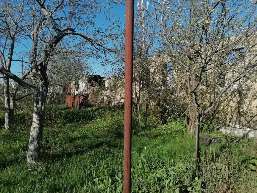 Участок в Саратовская область, с. Михайловка ул. Октябрьская (8.8 ... - Фото 1