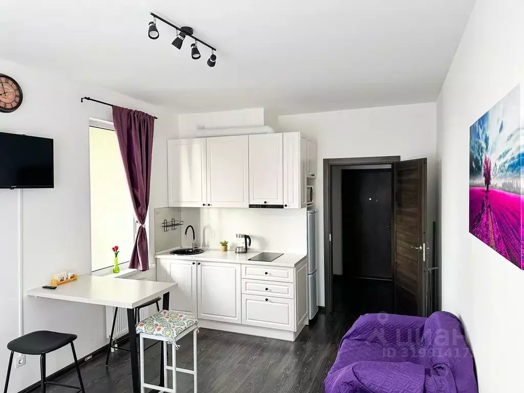1-к кв. Санкт-Петербург аллея Арцеуловская, 17 (28.0 м) - Фото 1