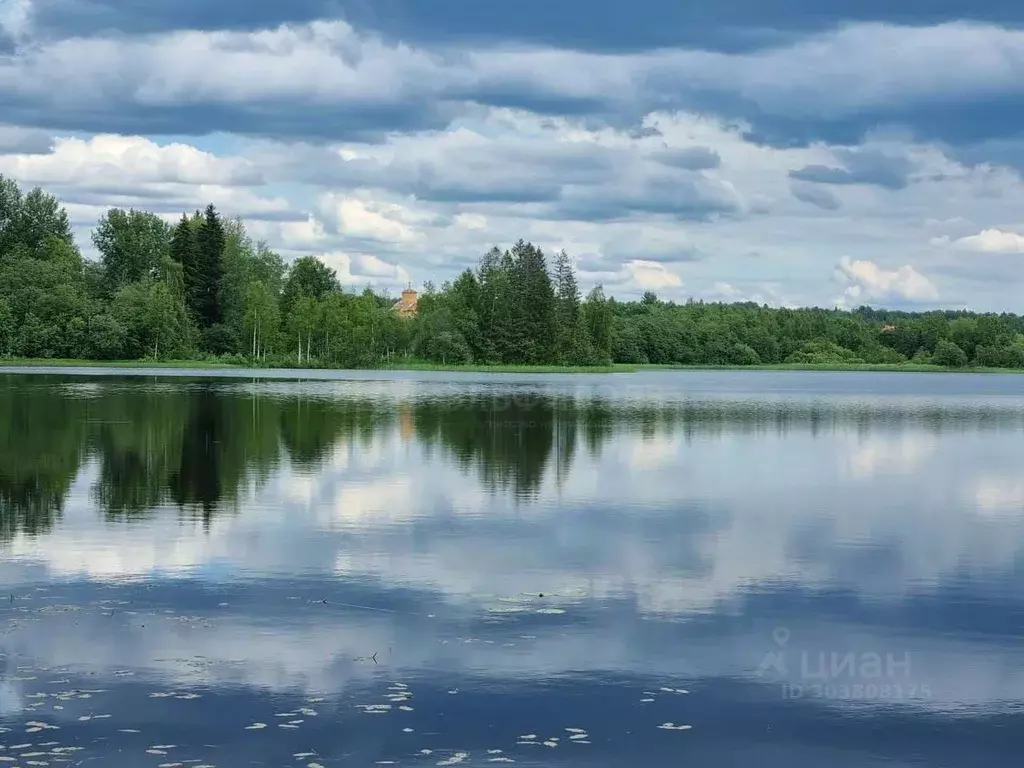 Дом в Новгородская область, Валдайский район, Костковское с/пос, д. ... - Фото 0