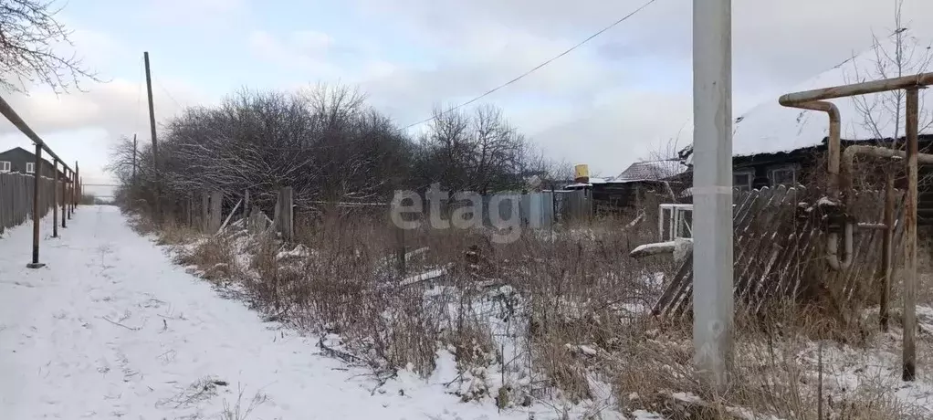Участок в Нижегородская область, Выкса городской округ, с. Туртапка ... - Фото 1