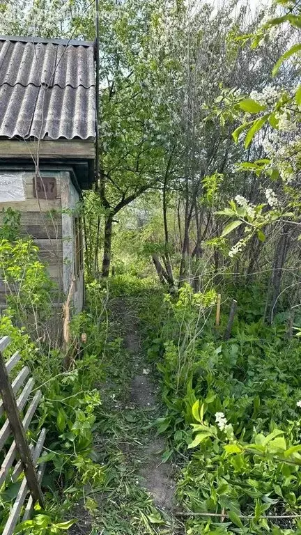 Дом в Челябинск, СНТ Металлург, квартал 3-й Участок, 6-я улица (13.9 ... - Фото 1