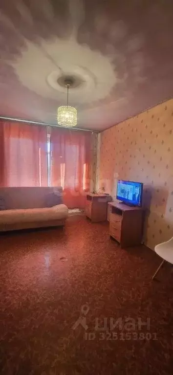 1-к кв. Новосибирская область, Новосибирск ул. Петухова, 144 (30.0 м) - Фото 1