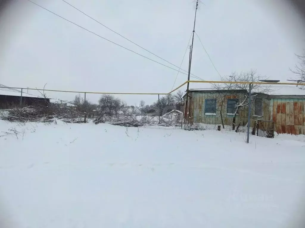 Дом в Белгородская область, Губкинский городской округ, с. Ольховатка ... - Фото 1