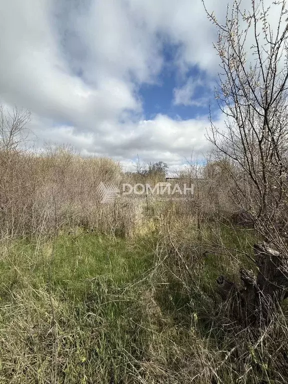 Участок 4,8 сот. (СНТ, ДНП) - Фото 1