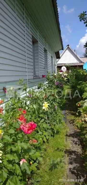 Дом в Кемеровская область, Калтанский городской округ, с. Сарбала ул. ... - Фото 1