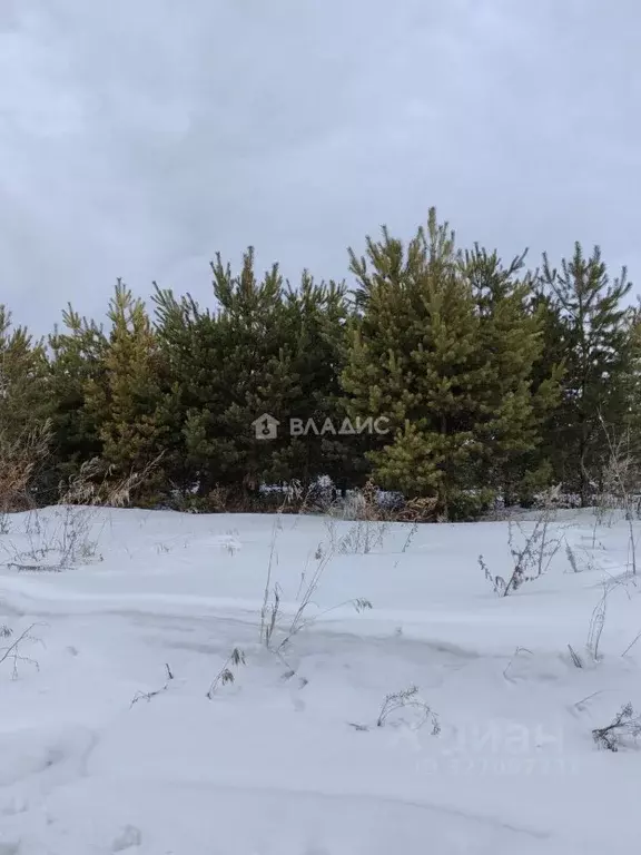 Участок в Иркутская область, Шелеховский район, Баклашинское ... - Фото 2